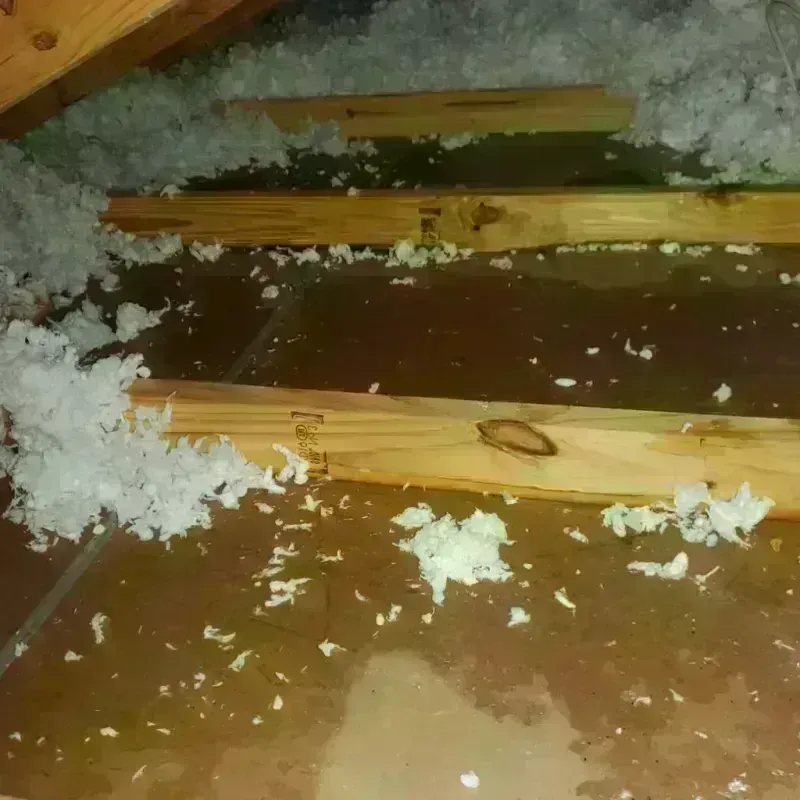 Attic Water Damage in Boley, OK