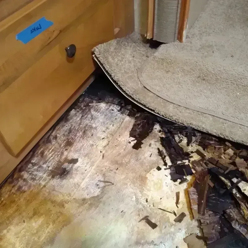 Wood Floor Water Damage in Boley, OK